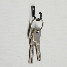 

Крючок мебельный ТУНДРА VINTAGE 022 LIGHT, цвет черный, 50 шт.