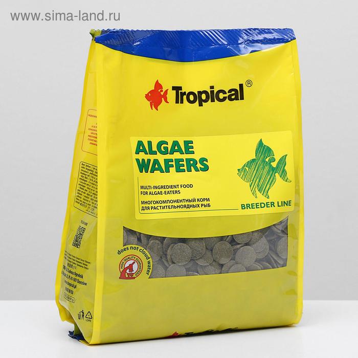 Корм Tropical Algae Wafers для растительноядных рыб , тонущие чипсы, 1 кг