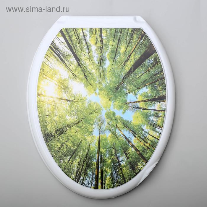 фото Сиденье с крышкой для унитаза «декор. лес», цвет белый росспласт