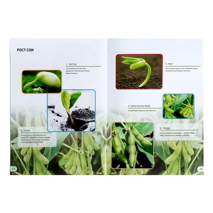 Набор для опытов «Наука о растениях»
