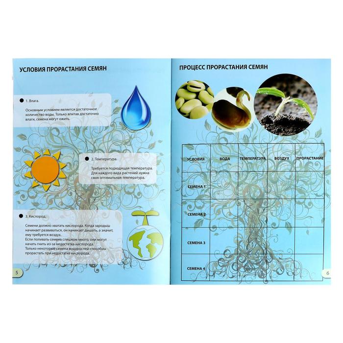 Набор для опытов «Наука о растениях»