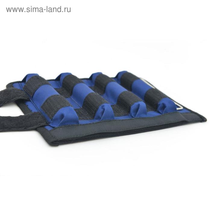 

Утяжелители 2 × 2 кг (грузы съёмные 500 г, 8 шт.), цвет синий