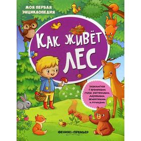 

Как живет лес: книжка с наклейками