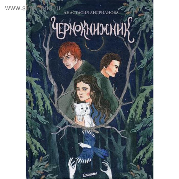 

Чернокнижник. Книга 2. Андрианова А.