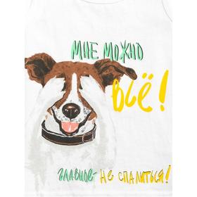 

Майка для мальчиков, рост 86 см, цвет белый