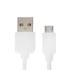 

Сетевое зарядное устройство Krutoff CH-02M, micro USB, USB, 2.1 A, белое