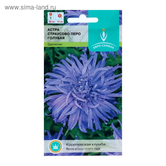 Астра страусово перо Астра страусово перо