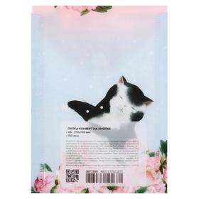 

Папка-конверт на кнопке А6 (114 х 158 мм), 150 мкм, вертикальная, deVENTE DeliCATe