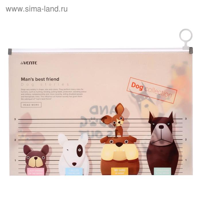 

Папка-конверт на молнии А4 deVENTE "And the dog is out", бежевая