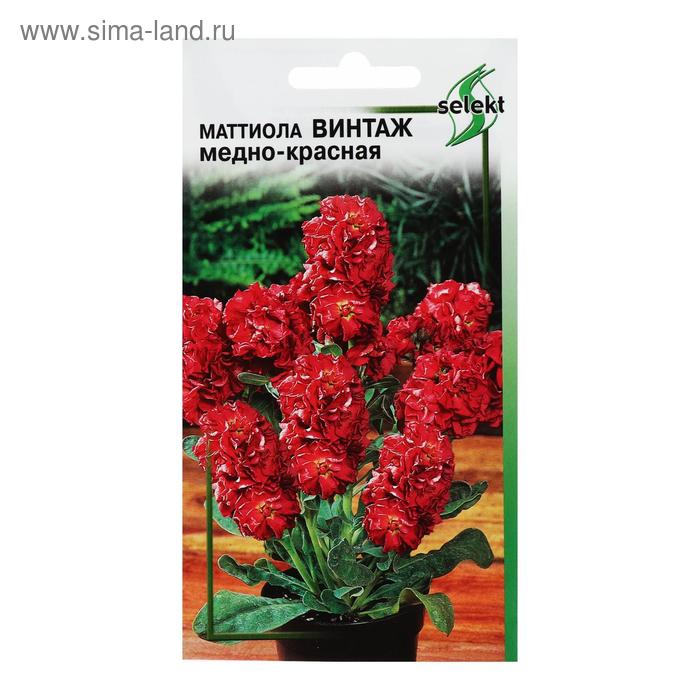 Семена цветов  Маттиола Винтаж, медно-красная, 15 шт