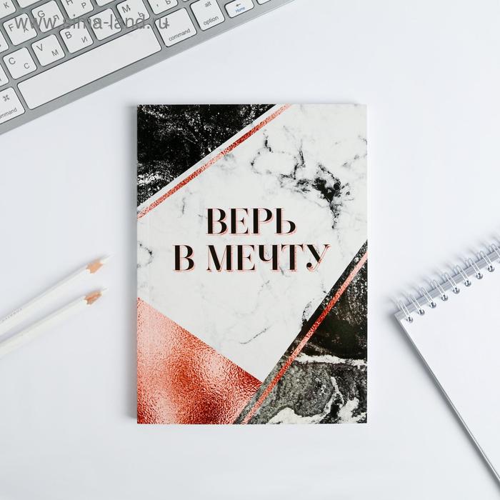 

Ежедневник в тонкой обложке "ВЕРЬ в МЕЧТУ" А5, 80 листов