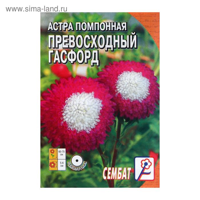 Семена цветов Астра помпонная Превосходный Гасфорд, 0.1 г