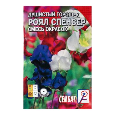 Горошек душистый роял фэмили фото