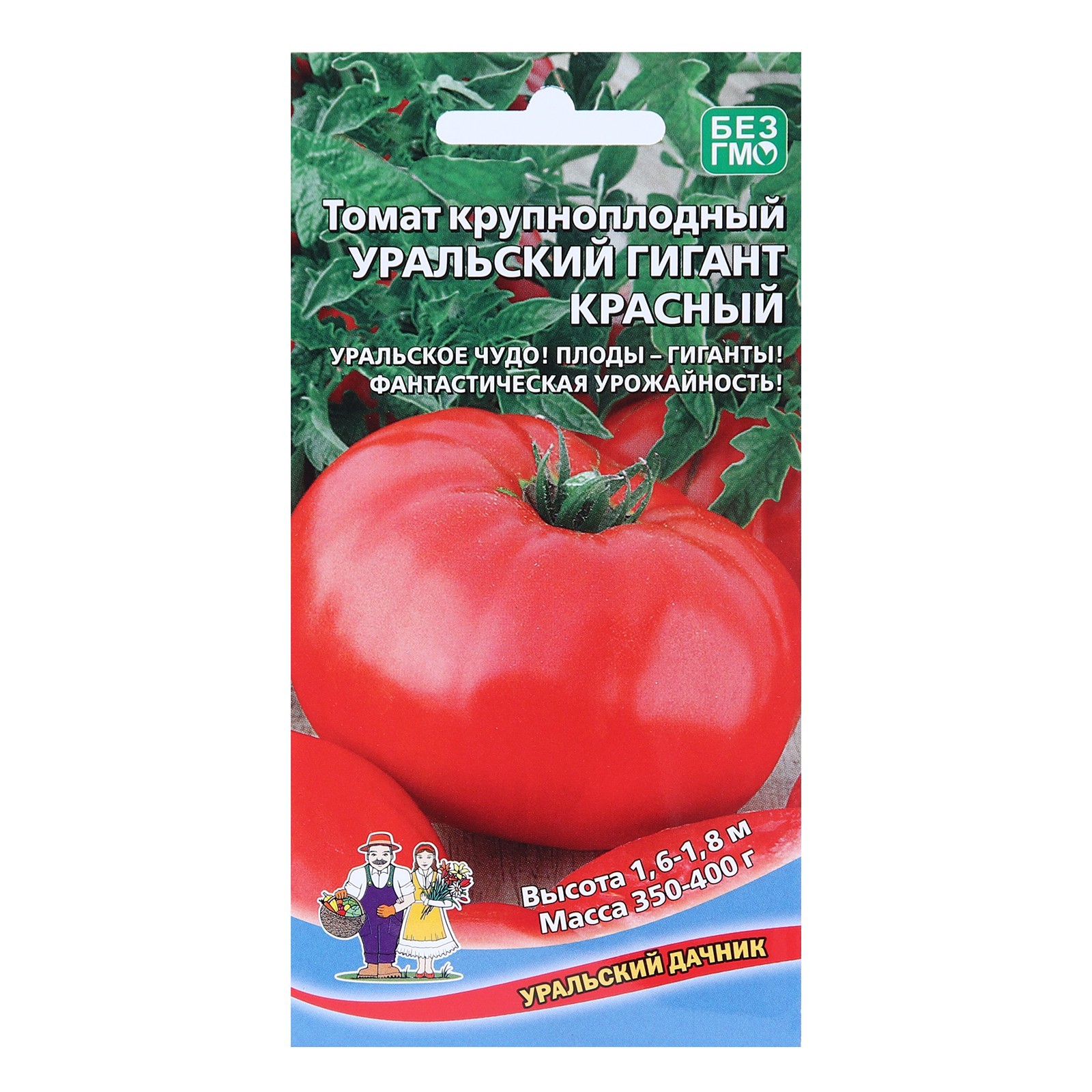 томат гигант бельгии характеристика и описание сорта