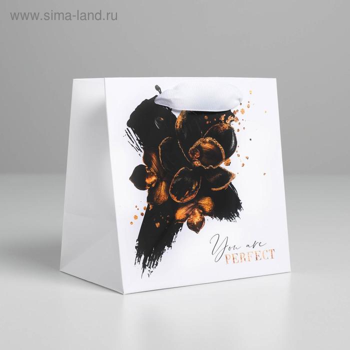 

Пакет ламинированный квадратный Stay wild, 14 × 14 × 9 см