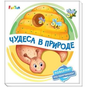 

Поверни! Что получилось - Чудеса в природе Солнышко Ирина