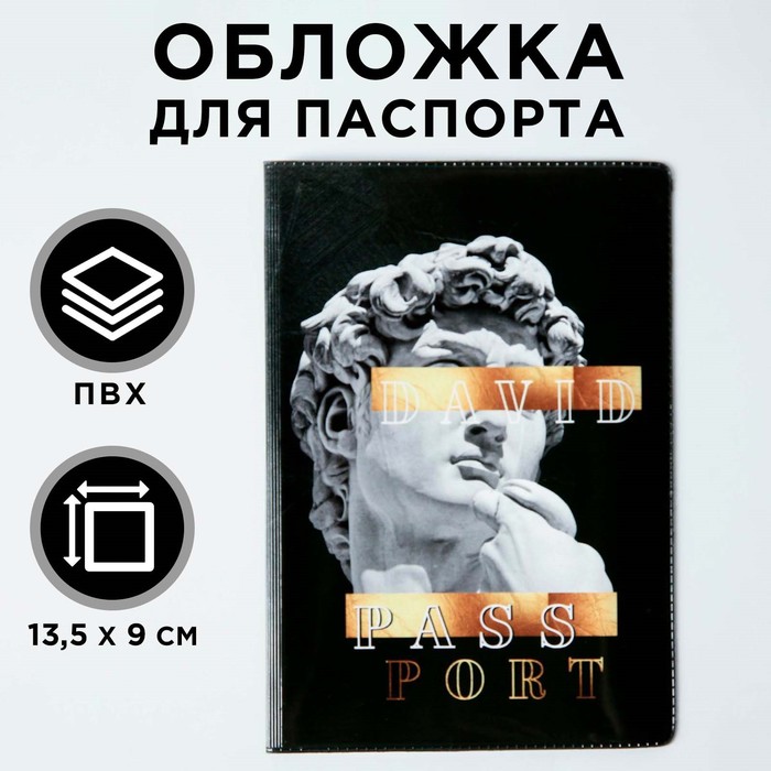Обложка для паспорта DAVID