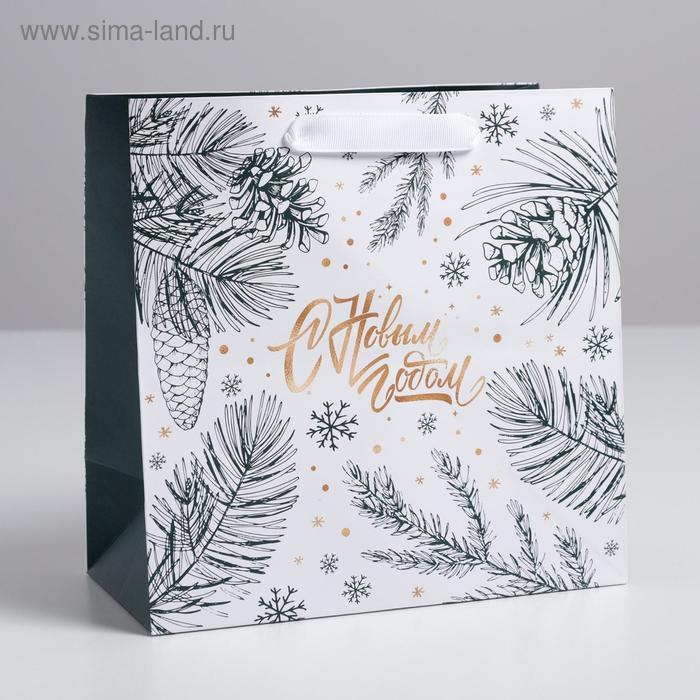 

Пакет ламинированный квадратный «Еловые шишки», 22 × 22 × 11 см