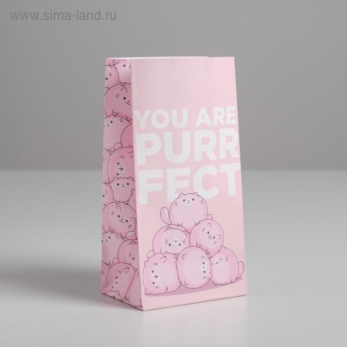 

Пакет подарочный без ручек Purrfect, 10 × 19.5 × 7 см