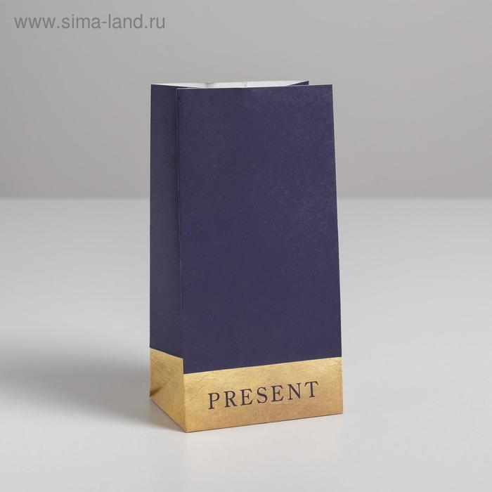 Пакет подарочный без ручек «Present», 10 × 19.5 × 7 см