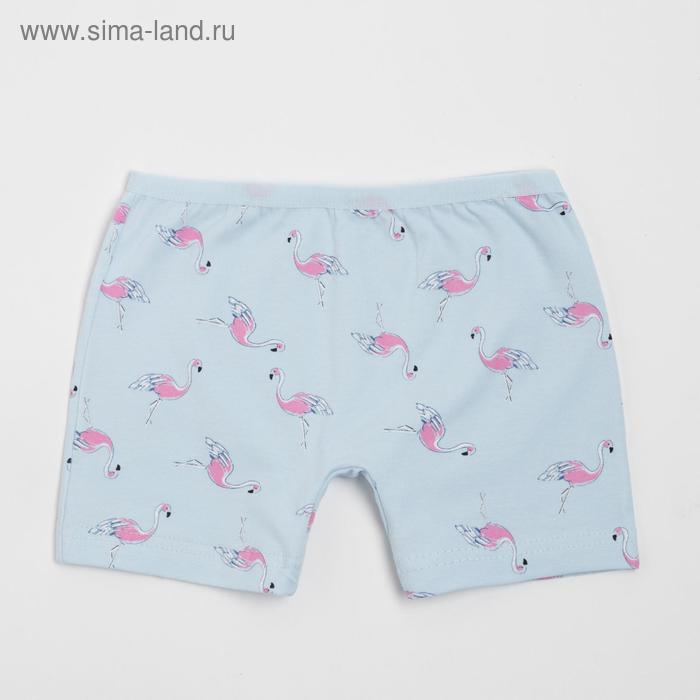 Трусы-шорты для девочки, цвет голубой/фламинго, рост 98-104 см