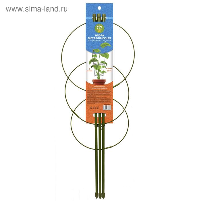 

Опора для растений, 3 кольца, h = 60 см, d = 22-18-8 см, металл