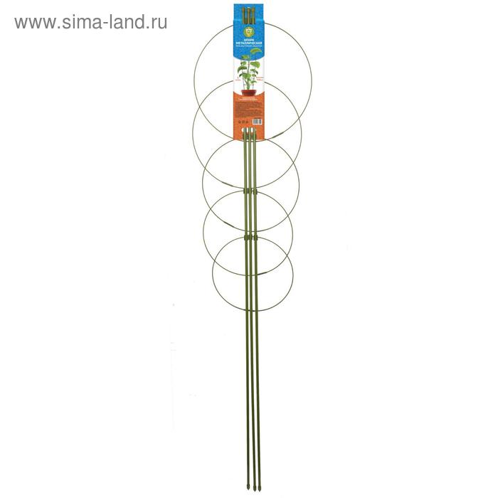 Опора для растений, 5 колец, h = 150 см, d = 32-30-28-26-24 см, металл