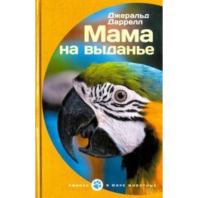 

Мама на выданье. Даррелл Дж.