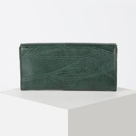 

Кошелёк женский, 2 отдела на клапане, отдел для карт, отдел для монет, наружный карман, цвет зелёный