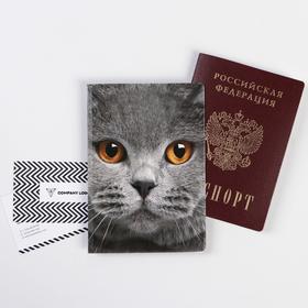 купить Обложка для паспорта Кот 1 шт