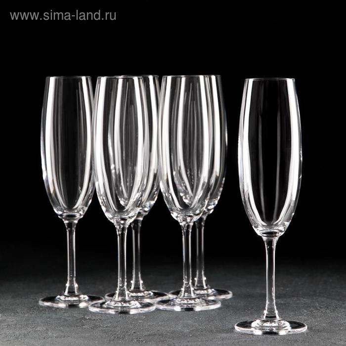 Набор бокалов для шампанского Sylvia, 220 мл, 6 шт набор бокалов для шампанского crystalite bohemia sylvia 220 мл 6 шт