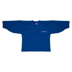 

Джемпер вратаря тренировочный EFSI, размер 38, цвет василёк