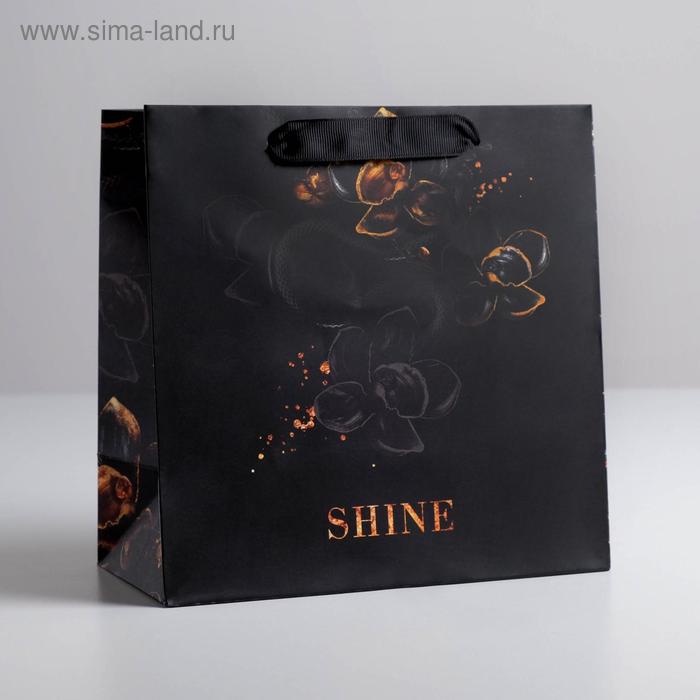 

Пакет ламинированный квадратный Shine, 22 × 22 × 11 см