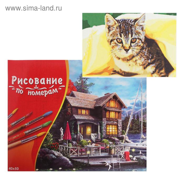 фото Картина по номерам 40×50 см в коробке «котёнок под пледом» рыжий кот