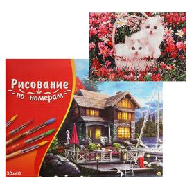 

Картина по номерам 30×40 см в коробке «Два котёнка в корзинке в цветах»