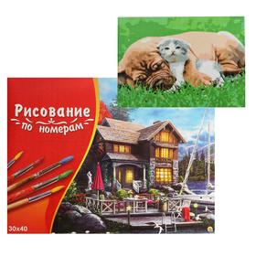 

Картина по номерам 30×40 см в коробке «Пёс и котёнок на траве»