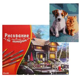 

Картина по номерам 30×40 см в коробке «Щенок и рыжий котёнок»