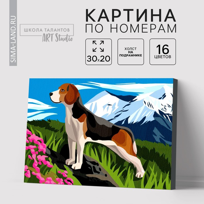 

Картина по номерам на холсте с подрамником «Бигль в горах», 30х20 см