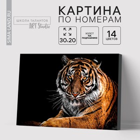 Картина по номерам на холсте с подрамником «Тигр», 30х20 см