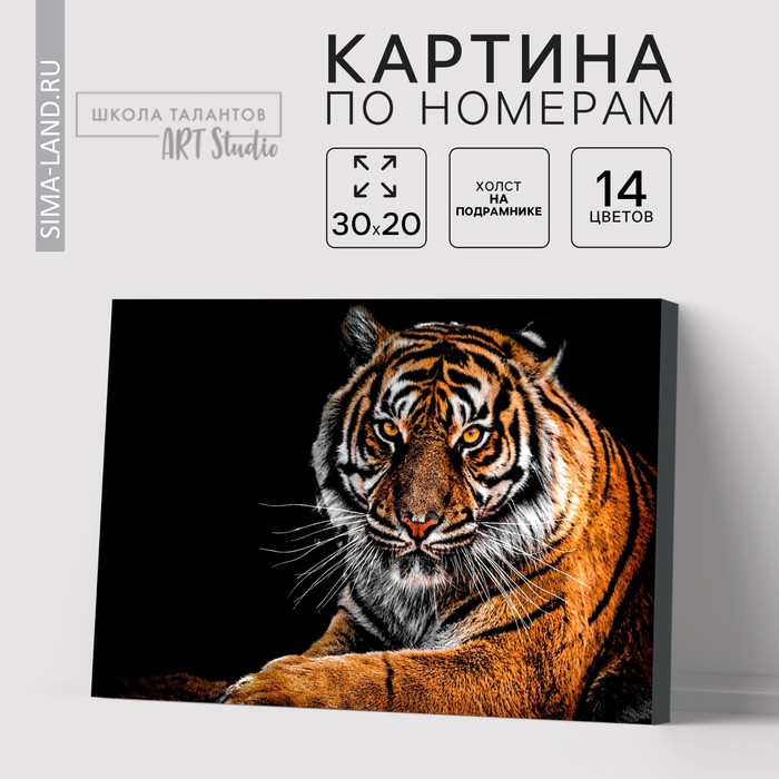 Картина по номерам на холсте с подрамником «Тигр», 30х20 см тигр поп арт раскраска картина по номерам на холсте