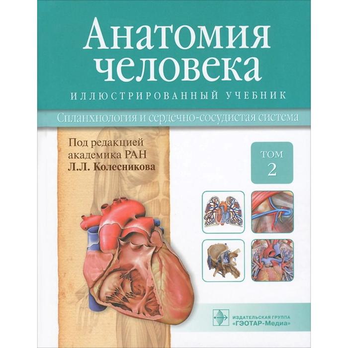Анатомия человека. В 3-х томах. Том 2. Спланхнология и сердечно-сосудистая система. Колесников Л.Л. анатомия человека том 2 спланхнология в 3 х томах