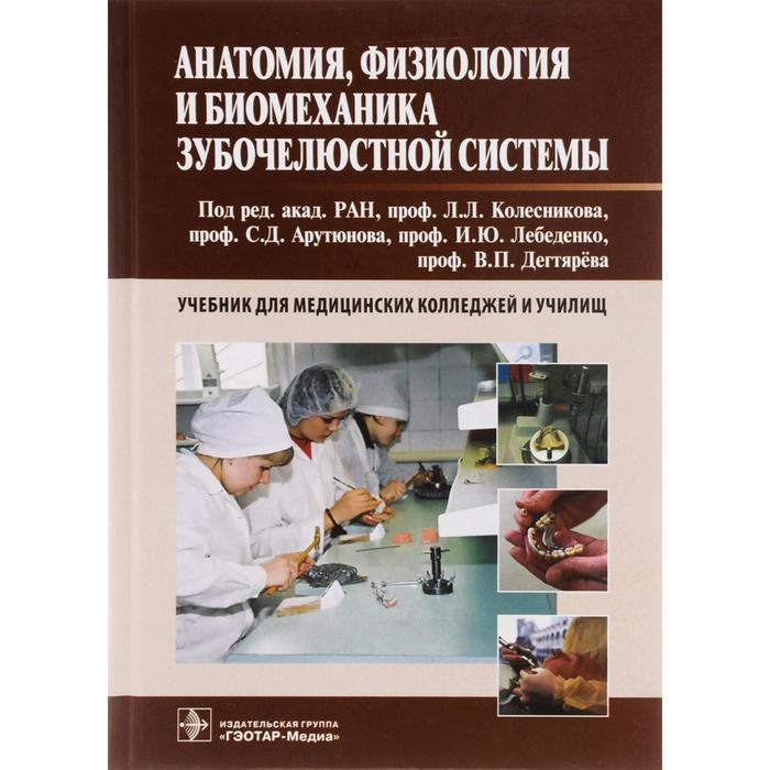 

Анатомия, физиология и биомеханика зубочелюстной системы
