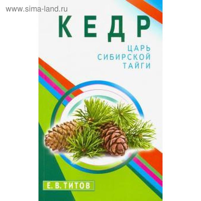 

Кедр-царь сибирской тайги. Титов Е.
