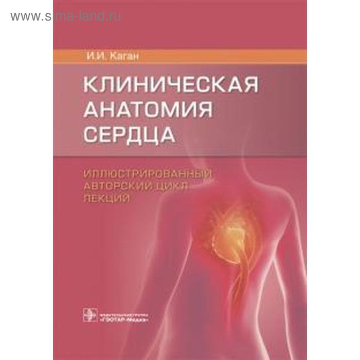 Клиническая анатомия сердца. Иллюстрированный авторский цикл лекций