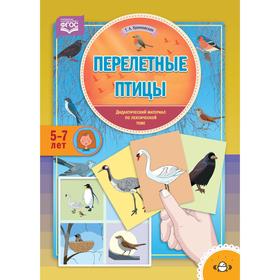 

Перелетные птицы. Дидактический материал по лексической теме (5-7 лет). Куликовская Т