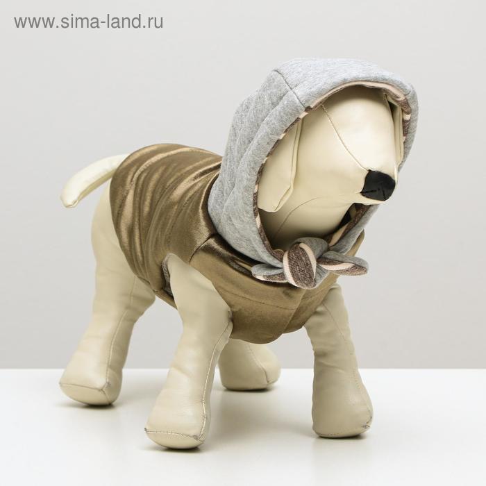 Куртка зимняя, XL (ОШ 32-35, ОГ 46-53, ДС 35 см), золотистая