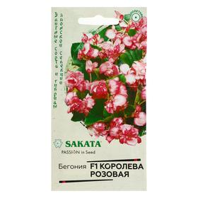 Семена цветов Бегония "Королева розовая", F1, вечноцветущая, серия Саката,  4 шт