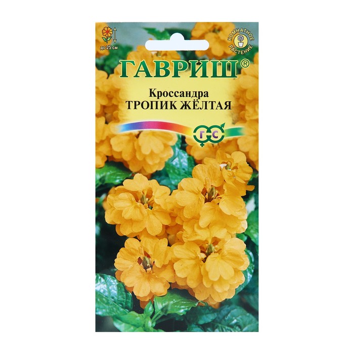 

Семена цветов Кроссандра "Тропик желтая", 3 шт.