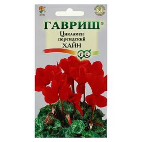 Семена цветов Цикламен "Хайн", персидский,  3 шт