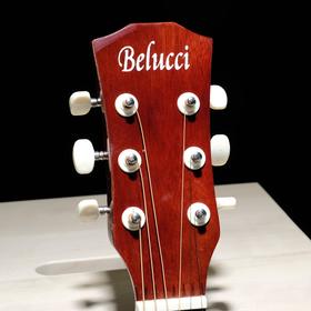 

Акустическая гитара Belucci BC3810 BS